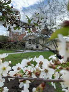 СуздальСад - 51