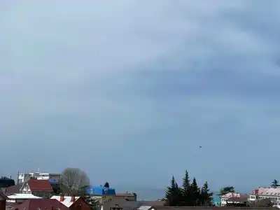 Аллес - 142