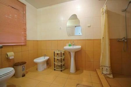 Зеленогорье - 80