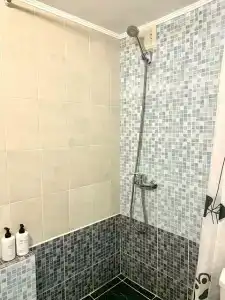 Манго - 105