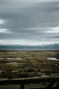 Altay Steppe - 74