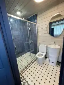 Романов дача - 62