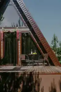 Forest camp - 62