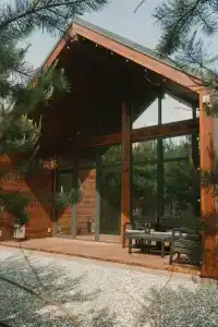 Forest camp - 50