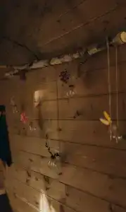 Два зайца - 114