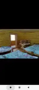 Львиное сердце - 27
