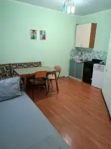 Аист - 38