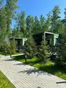 Выходные - 66