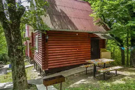 Инфанта - 77