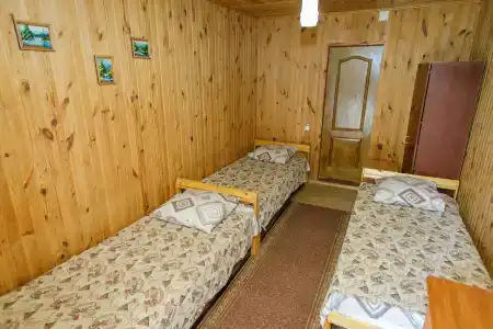 Альтернатива - 96