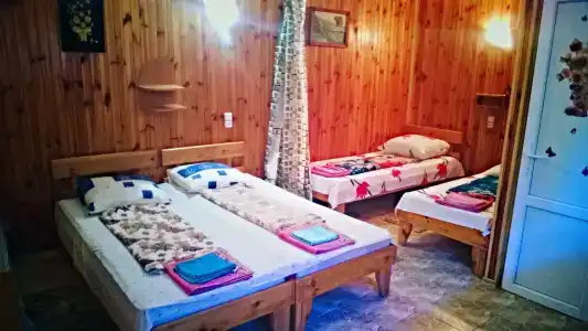 Амадей - 79