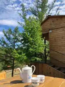 Мандархан View - 59