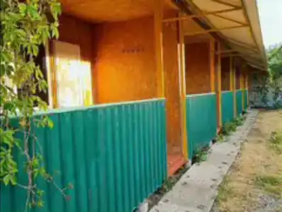 Спартак - 25