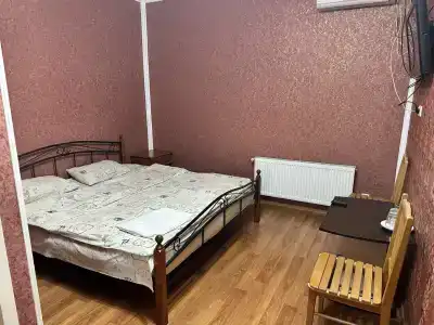 Хонга - 50