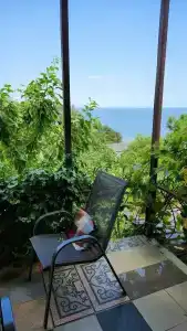 Замок грез - 239