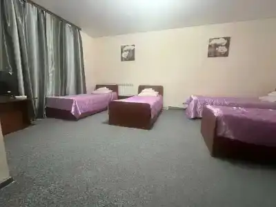 Альпенхауз - 46