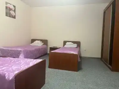 Альпенхауз - 47