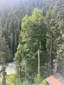 Альпенхауз - 32