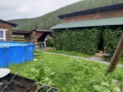 Заречье у Тырышкиных - 5