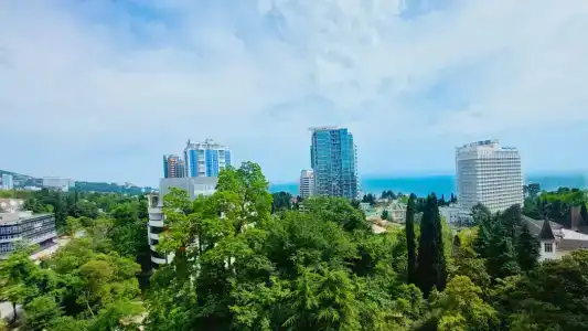 Мира на Курортном - 61