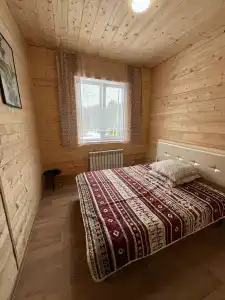 Астра - 60