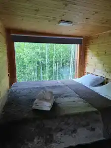 В гостях у леса - 19