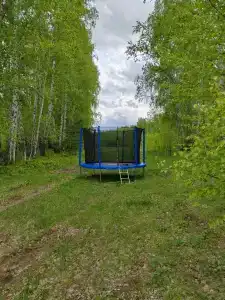 В гостях у леса - 22