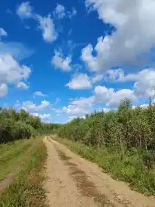 В гостях у леса - 23