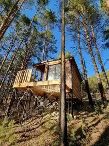 Суеты. нет - 55