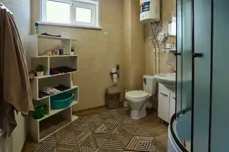 Оазис - 62