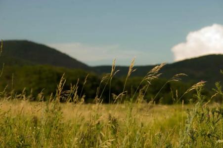 Тёплое озеро - 98