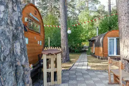 Дача в соснах - 78