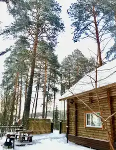 Дача в соснах - 68