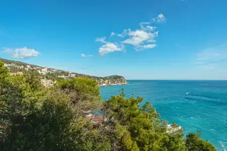Сосновая Роща - 293