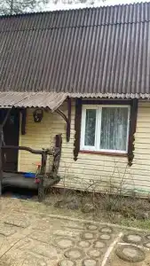 Гнездо аиста - 43