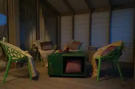 Дубльдом - 595