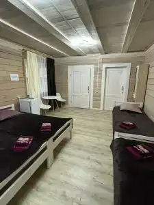 Аист - 6
