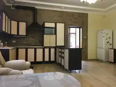 Револ - 56