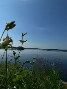 Лейк лайф - 65