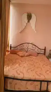 Роза Кардамон - 14