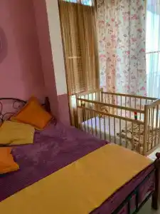Роза Кардамон - 1