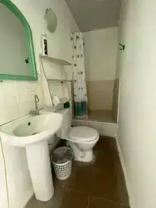 Инжир - 32