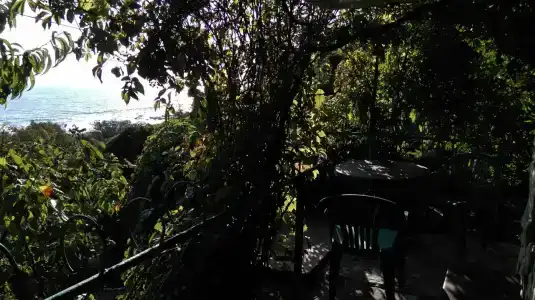 Замок грез - 119