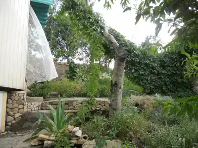 Замок грез - 191