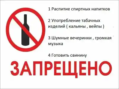 Путник - 51