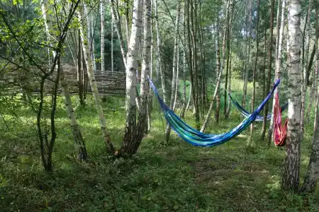Хвойный парк - 58