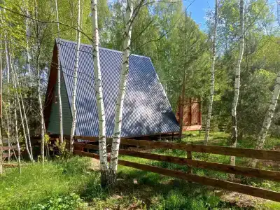Хвойный парк - 63