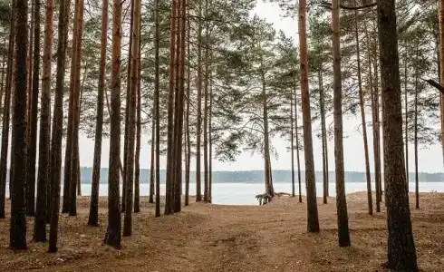 Дом на озере с баней - 75