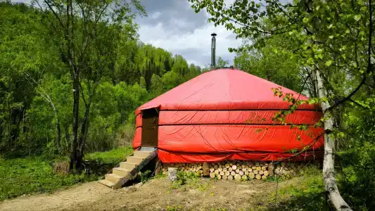 Снегири - 16