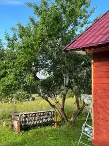 БлагоДар - 21